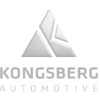 Kongsberg – ToxInfo referencia