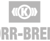 Knorr Bremse – ToxInfo referencia